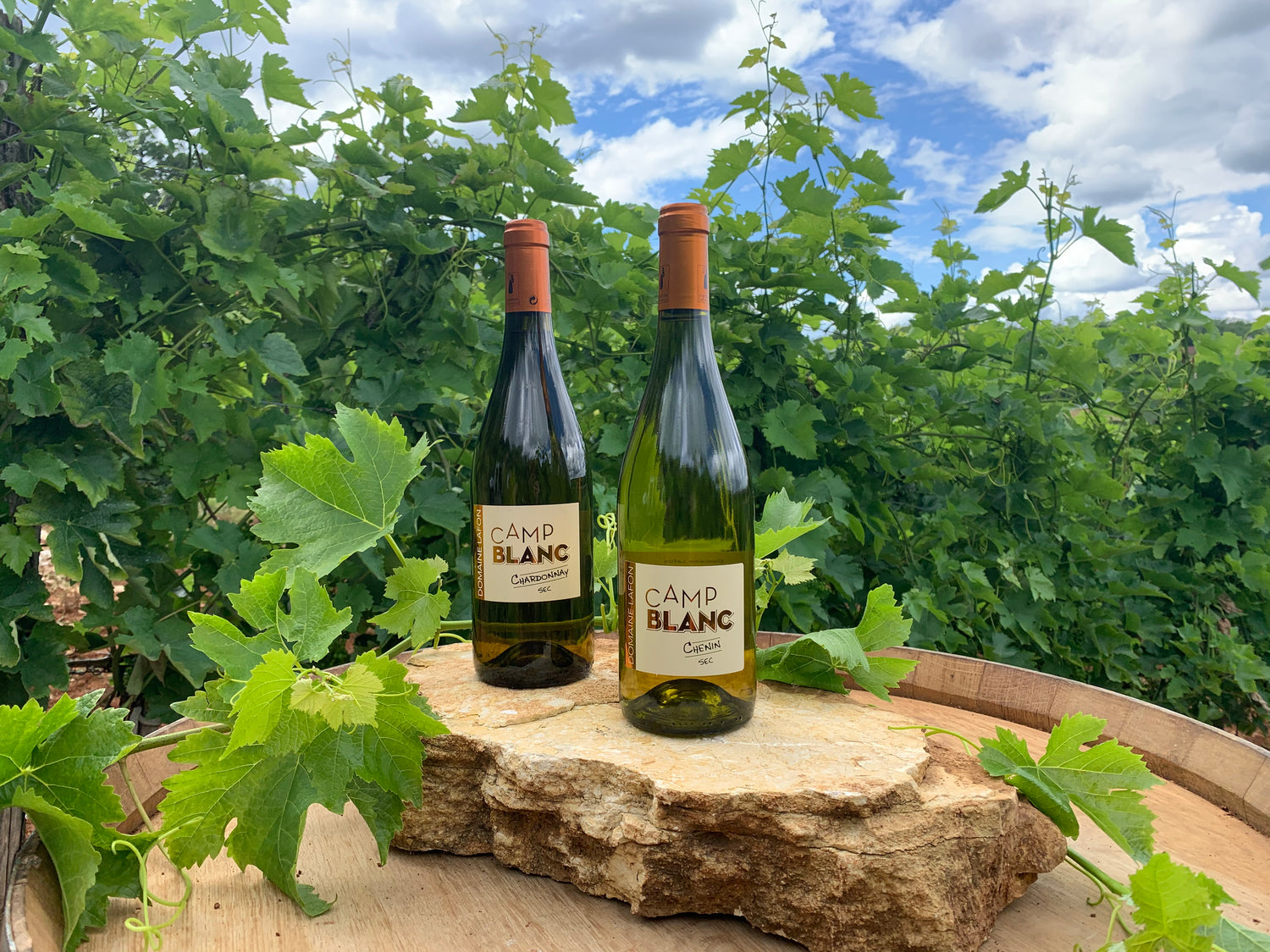 Vin de Cahors sans Sulfites Domaine Lafon Domaine - Lafon – Malbec